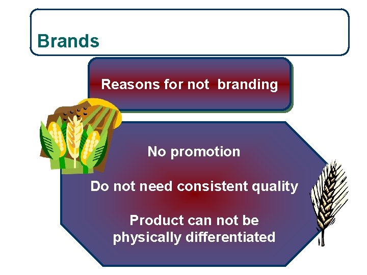 10 -16 Brands Reasons for not branding No promotion Do not need consistent quality