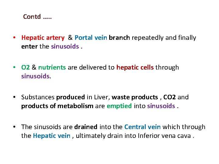  Contd …. . • Hepatic artery & Portal vein branch repeatedly and finally