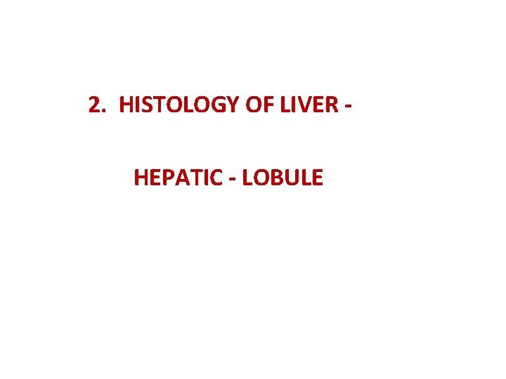  2. HISTOLOGY OF LIVER HEPATIC - LOBULE 