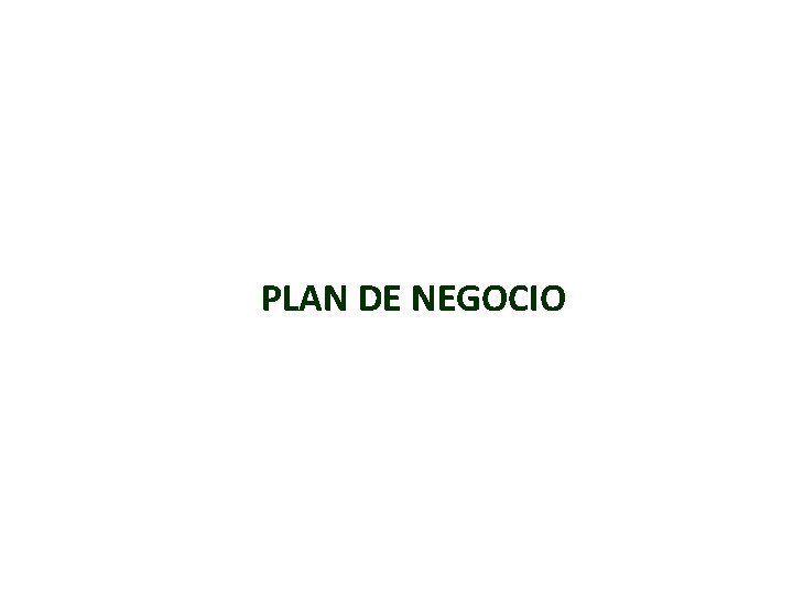 PLAN DE NEGOCIO 