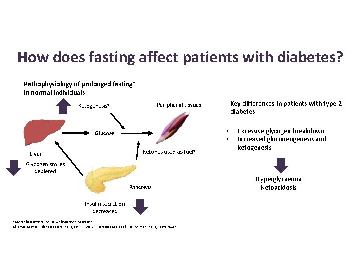 How does fasting affect patients with diabetes? Pathophysiology of prolonged fasting* in normal individuals