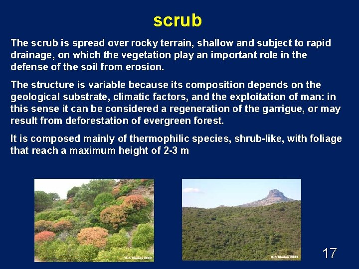 scrub The scrub is spread over rocky terrain, shallow and subject to rapid drainage,