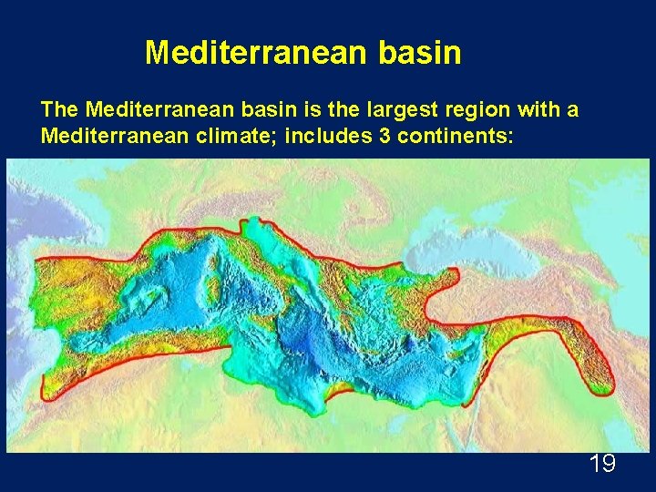 Mediterranean basin The Mediterranean basin is the largest region with a Mediterranean climate; includes
