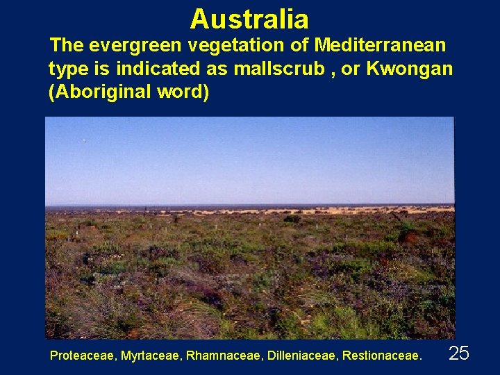 Australia The evergreen vegetation of Mediterranean type is indicated as mallscrub , or Kwongan