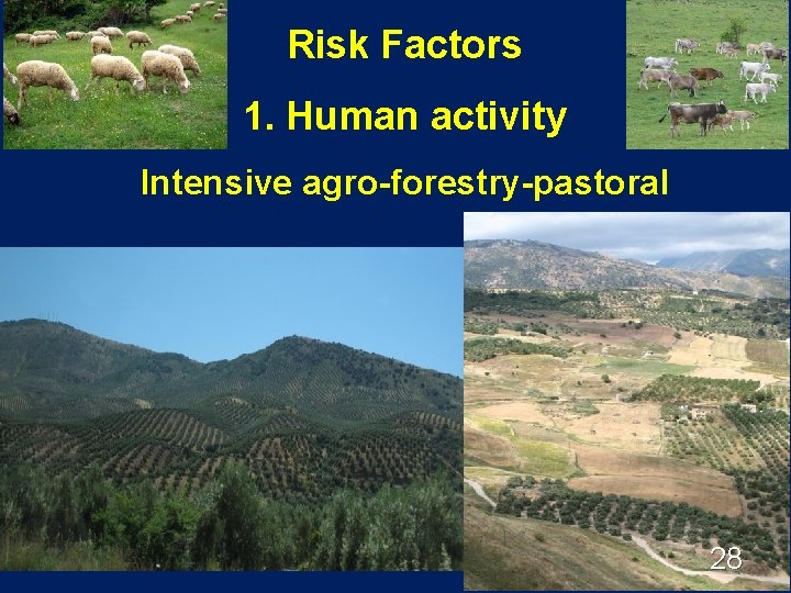 Risk Factors 1. Human activity Intensive agro-forestry-pastoral 28 