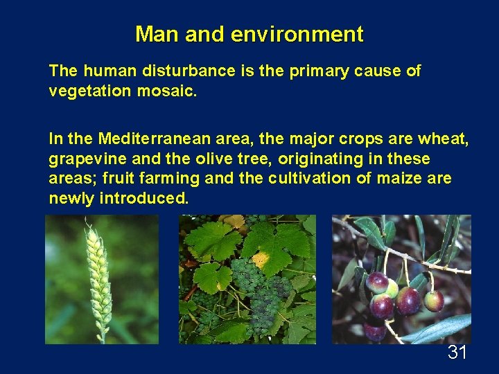 Man and environment The human disturbance is the primary cause of vegetation mosaic. In