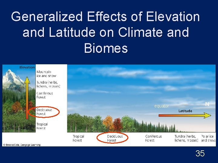 Generalized Effects of Elevation and Latitude on Climate and Biomes equator N 35 