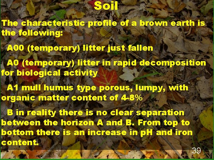 Soil The characteristic profile of a brown earth is the following: A 00 (temporary)