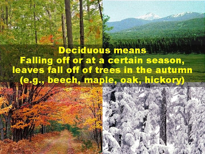 Deciduous means Falling off or at a certain season, leaves fall off of trees