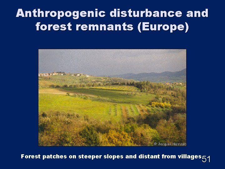 Anthropogenic disturbance and forest remnants (Europe) Forest patches on steeper slopes and distant from