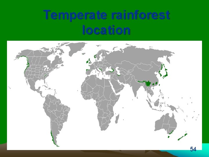 Temperate rainforest location 54 
