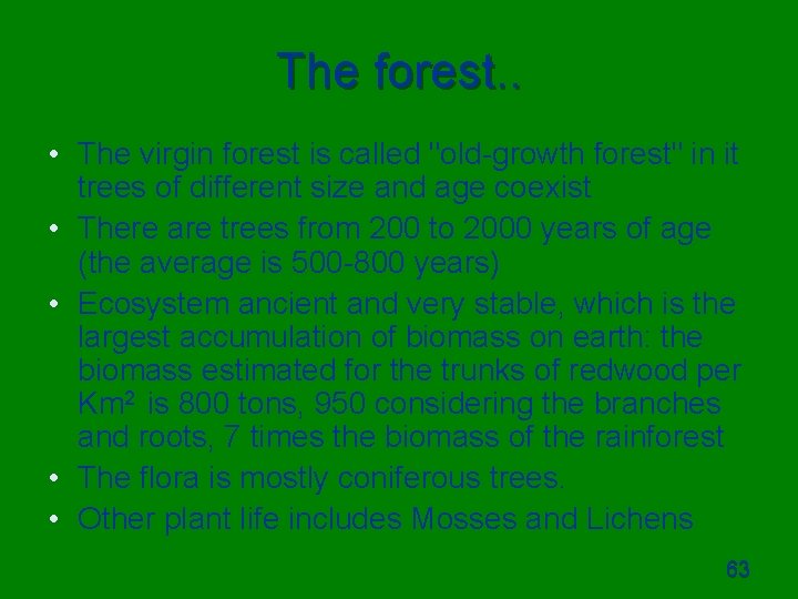 The forest. . • The virgin forest is called "old-growth forest" in it trees