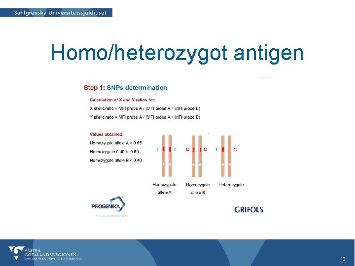 Homo/heterozygot antigen 13 