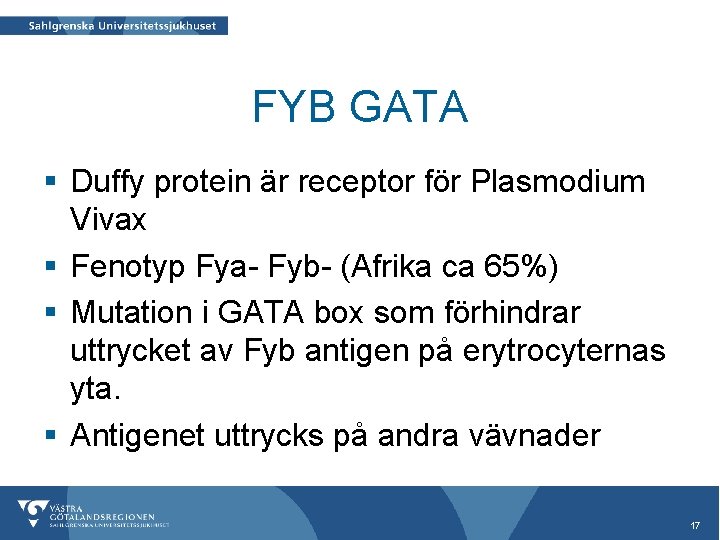 FYB GATA § Duffy protein är receptor för Plasmodium Vivax § Fenotyp Fya- Fyb-