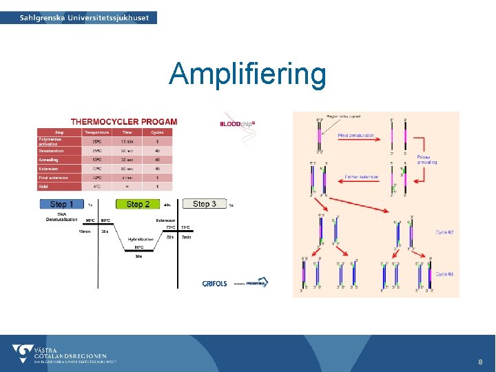 Amplifiering 8 