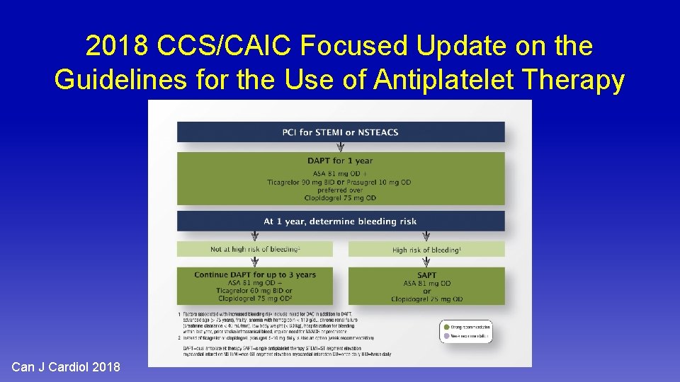 2018 CCS/CAIC Focused Update on the Guidelines for the Use of Antiplatelet Therapy Can