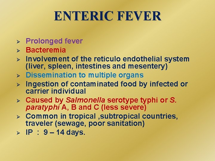ENTERIC FEVER Ø Ø Ø Ø Prolonged fever Bacteremia Involvement of the reticulo endothelial