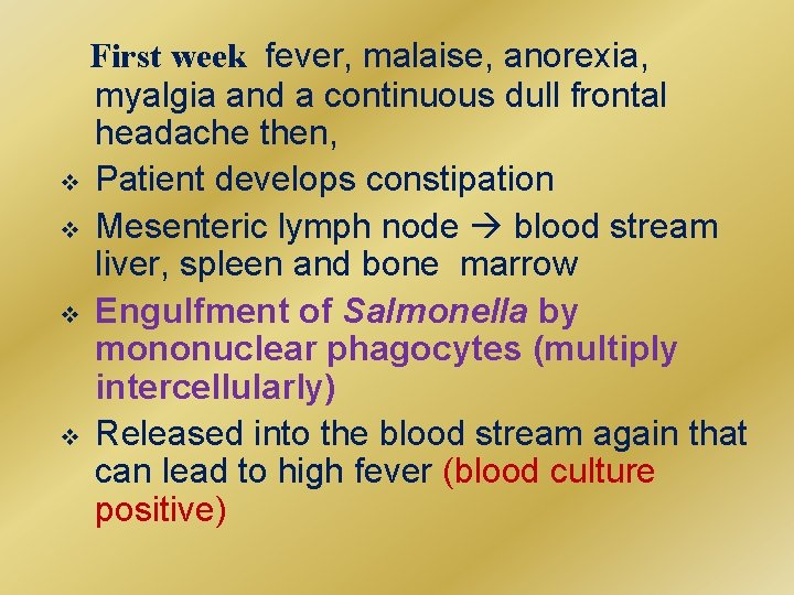 First week fever, malaise, anorexia, myalgia and a continuous dull frontal headache then, v