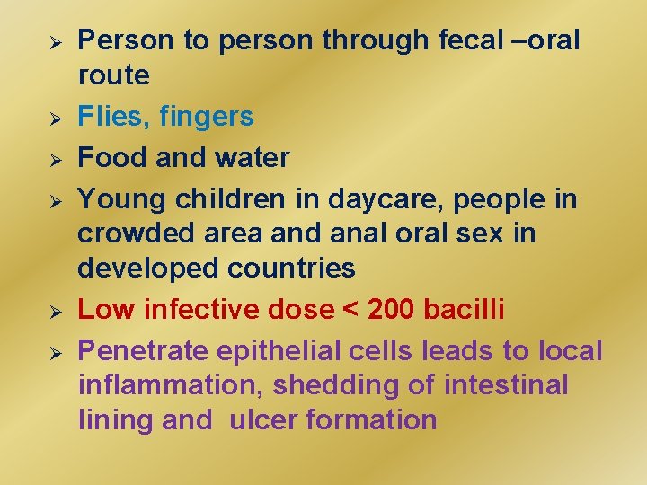 Ø Ø Ø Person to person through fecal –oral route Flies, fingers Food and