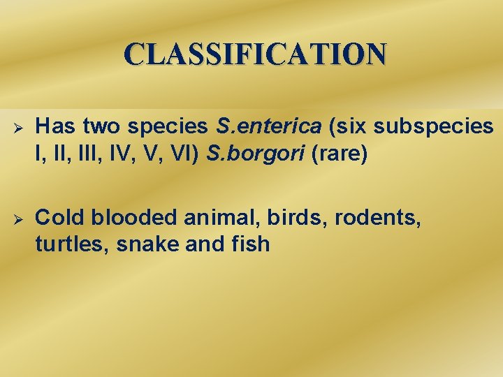 CLASSIFICATION Ø Has two species S. enterica (six subspecies -Has two species s. enterica
