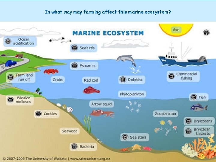 In what way may farming affect this marine ecosystem? 