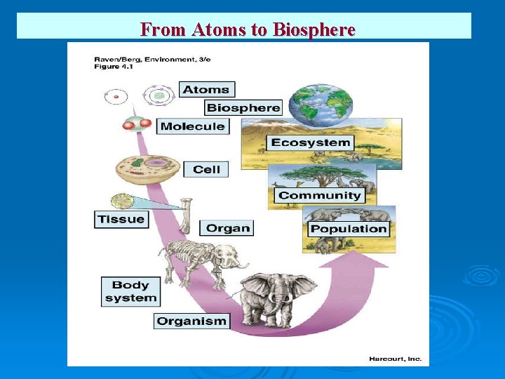From Atoms to Biosphere From Atoms to Biosphere