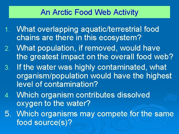 An Arctic Food Web Activity 1. 2. 3. 4. 5. What overlapping aquatic/terrestrial food