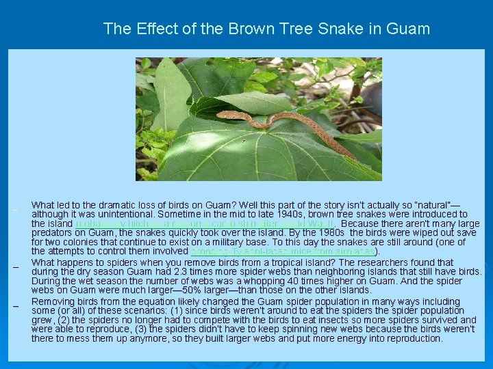 The Effect of the Brown Tree Snake in Guam _ _ _ What led The Effect of the Brown Tree Snake in Guam _ _ _ What led