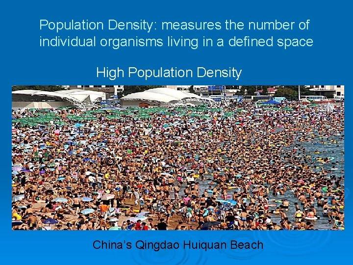 Population Density: measures the number of individual organisms living in a defined space High