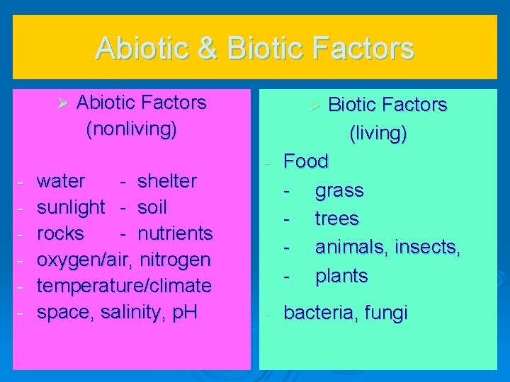 Abiotic & Biotic Factors Abiotic Factors (nonliving) water - shelter sunlight - soil rocks Abiotic & Biotic Factors Abiotic Factors (nonliving) water - shelter sunlight - soil rocks