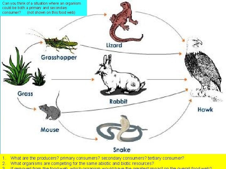 Can you think of a situation where an organism could be both a primary Can you think of a situation where an organism could be both a primary