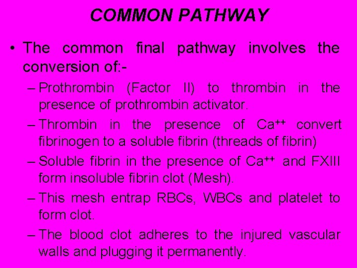 COMMON PATHWAY • The common final pathway involves the conversion of: – Prothrombin (Factor