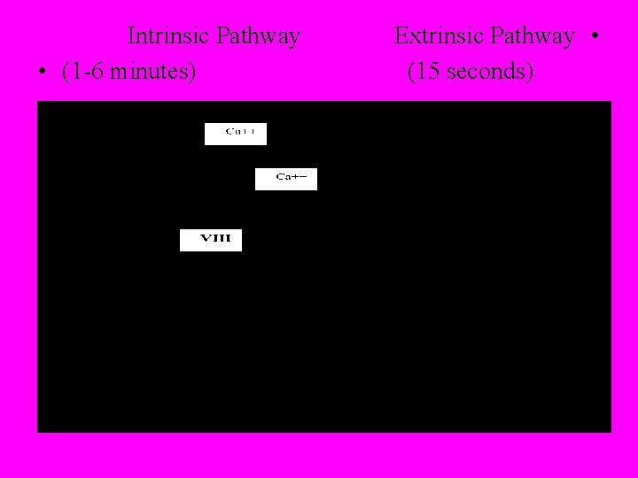 Intrinsic Pathway • (1 -6 minutes) Extrinsic Pathway • (15 seconds) 