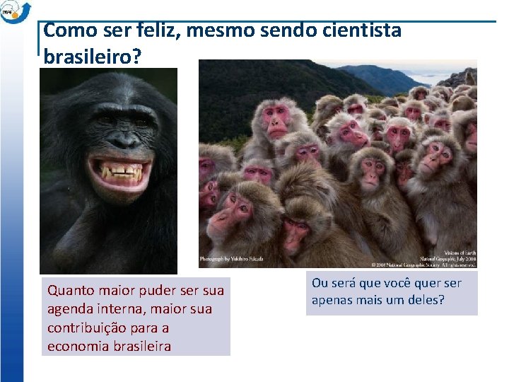Como ser feliz, mesmo sendo cientista brasileiro? Quanto maior puder sua agenda interna, maior