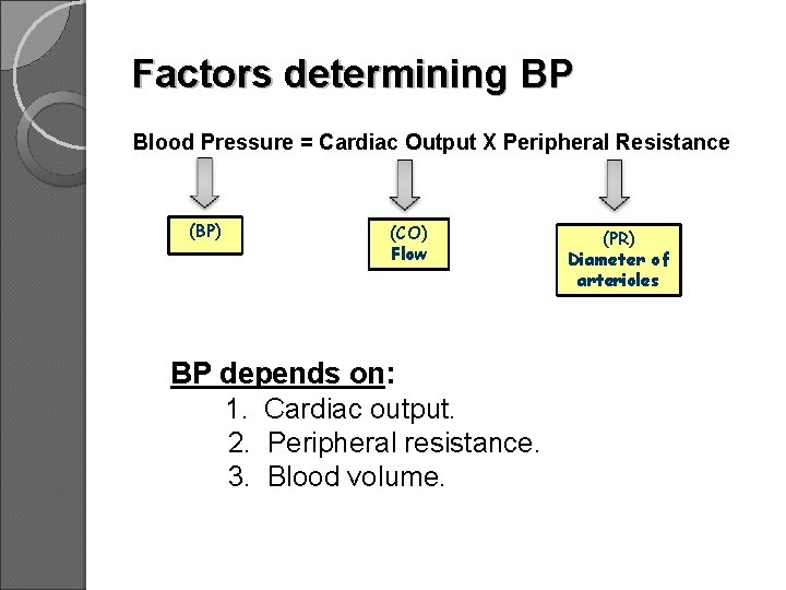 Factors determining BP Blood Pressure = Cardiac Output X Peripheral Resistance (BP) (CO) Flow