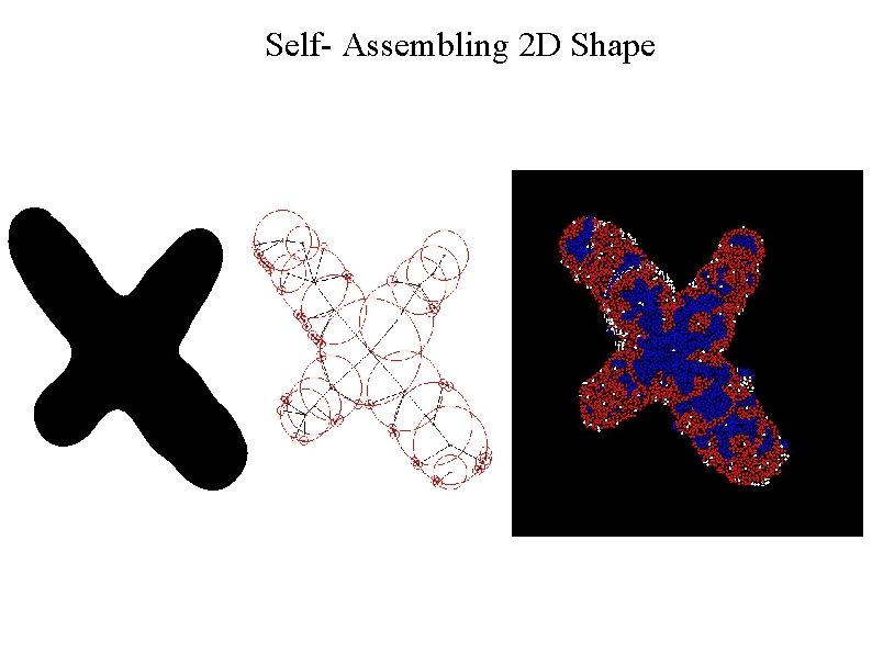 Self- Assembling 2 D Shape 