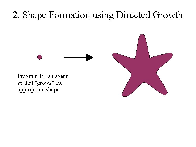 2. Shape Formation using Directed Growth Program for an agent, so that "grows" the