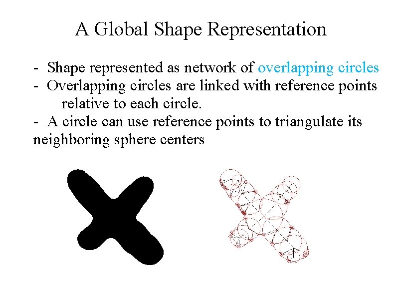 A Global Shape Representation - Shape represented as network of overlapping circles - Overlapping