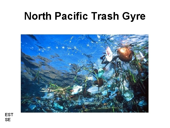 North Pacific Trash Gyre EST SE 