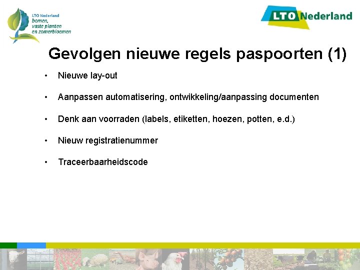 Gevolgen nieuwe regels paspoorten (1) • Nieuwe lay-out • Aanpassen automatisering, ontwikkeling/aanpassing documenten •