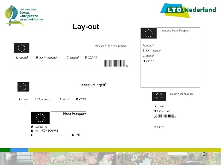 Lay-out 21 