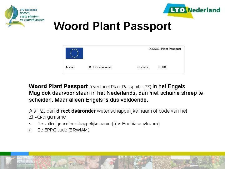 Woord Plant Passport (eventueel Plant Passport – PZ) in het Engels Mag ook daarvóór