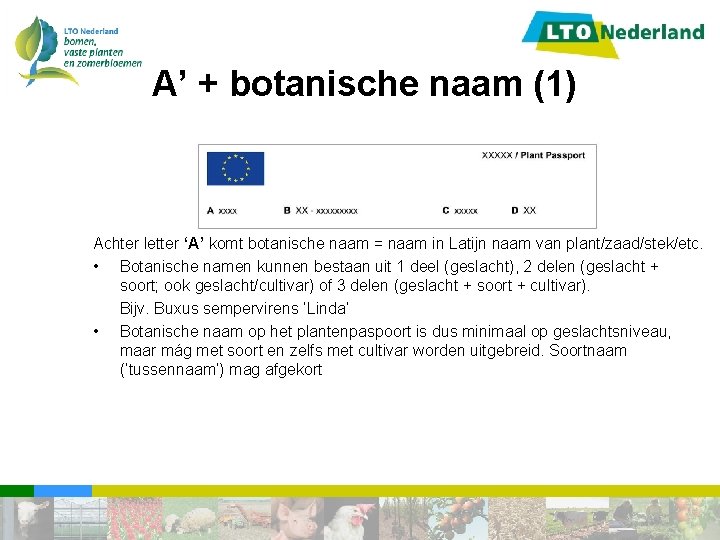 ‘A’ + botanische naam (1) Achter letter ‘A’ komt botanische naam = naam in