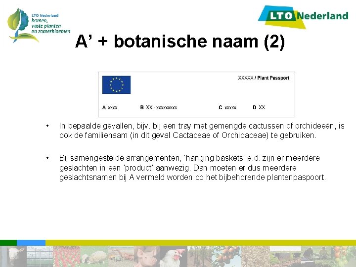 ‘A’ + botanische naam (2) • In bepaalde gevallen, bijv. bij een tray met