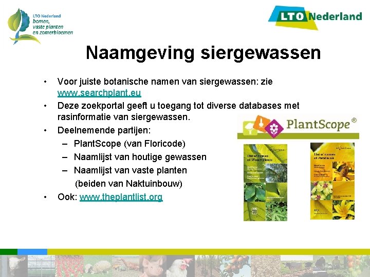 Naamgeving siergewassen • • Voor juiste botanische namen van siergewassen: zie www. searchplant. eu