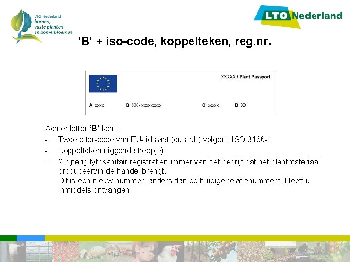 ‘B’ + iso-code, koppelteken, reg. nr. Achter letter ‘B’ komt: - Tweeletter-code van EU-lidstaat