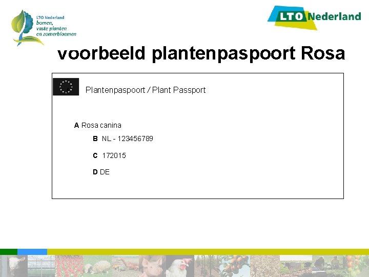 Voorbeeld plantenpaspoort Rosa Plantenpaspoort / Plant Passport A Rosa canina B NL - 123456789