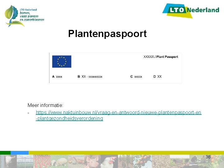 Plantenpaspoort Meer informatie: - https: //www. naktuinbouw. nl/vraag-en-antwoord-nieuwe-plantenpaspoort-en -plantgezondheidsverordening 38 