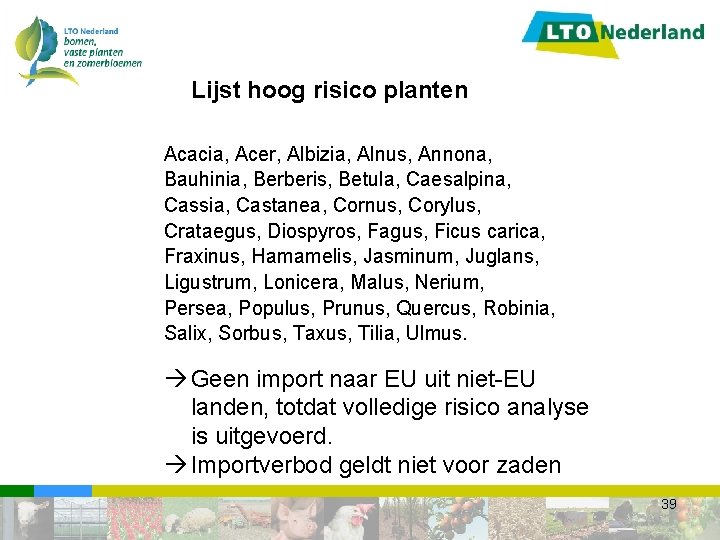 Lijst hoog risico planten Acacia, Acer, Albizia, Alnus, Annona, Bauhinia, Berberis, Betula, Caesalpina, Cassia,