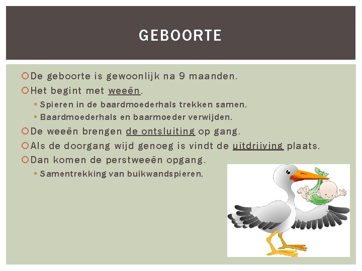 GEBOORTE De geboorte is gewoonlijk na 9 maanden. Het begint met weeën. § Spieren